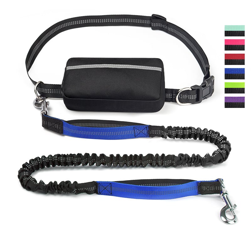 BowLift | PawsFree Pro – Enjoy stress-free walks with your dog
