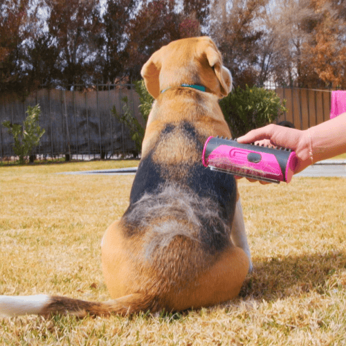 BowLift | 3 in 1 Deshedding Undercoat & Fur Brush
