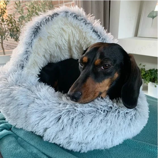 BowLift | SnuggleNest — Security and warmth that lets your pet sleep relaxed.