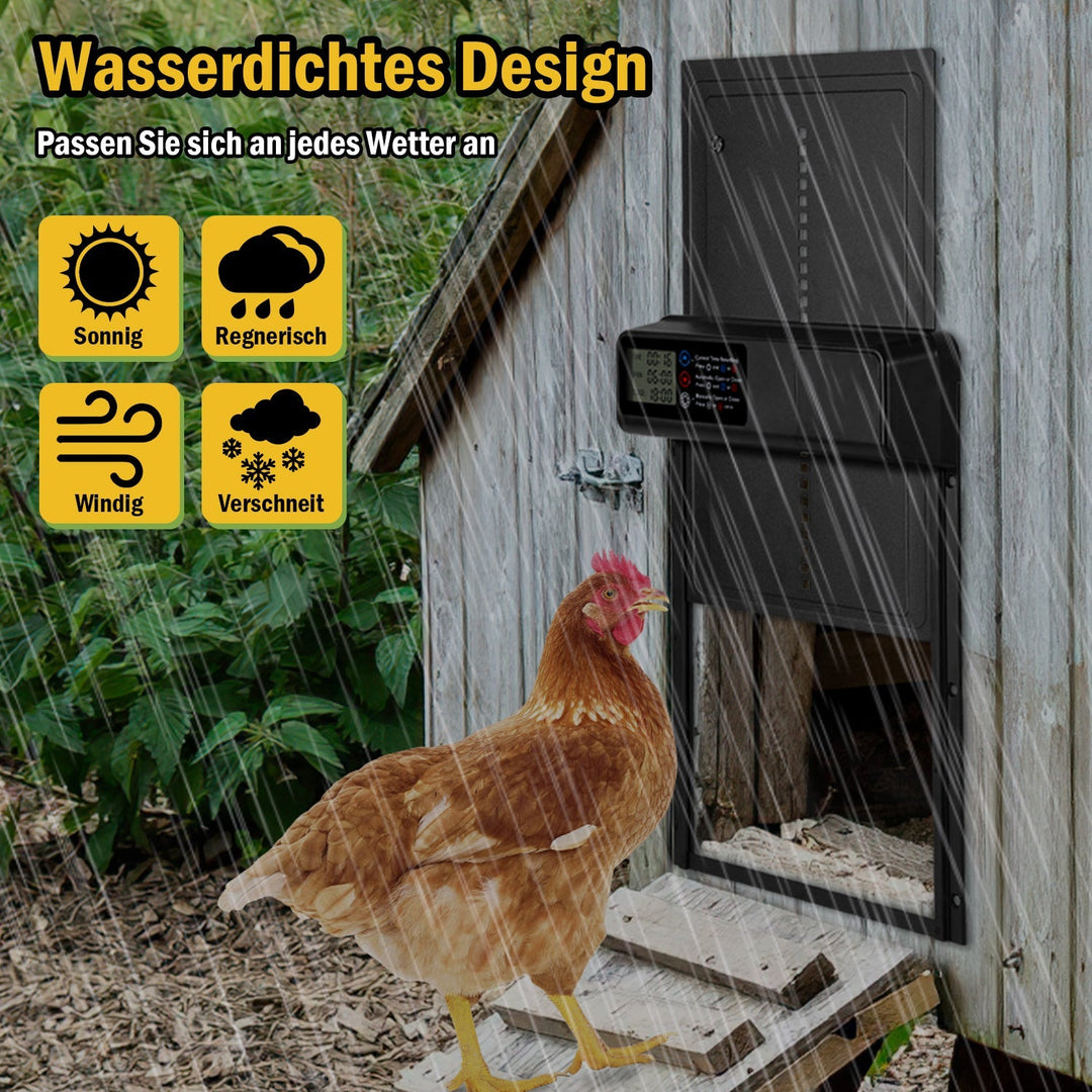 Chicken flap automatic timer | Bowlift