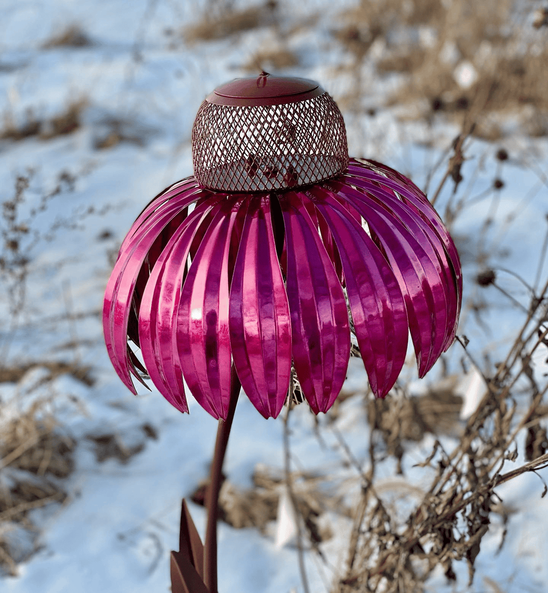 BowLift | FloraNest Bird Feeder | Enjoy free Coneflowers for a colorful garden