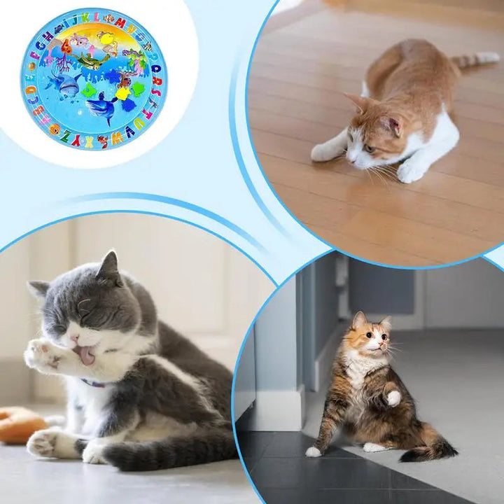 BowLift | FelineSplash — Unleash your cat's wild hunting joy without chaos and stress!