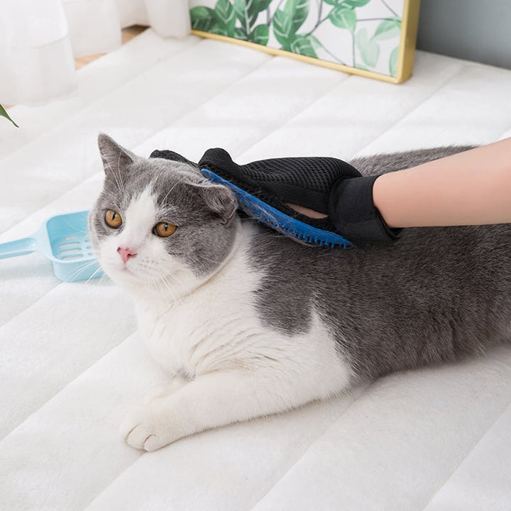 BowLift | Cat grooming glove for cats wool glove Pet Hair Deshedding Brush Comb Glove For Pet Dog Cleaning Massage Glove For Animal Sale