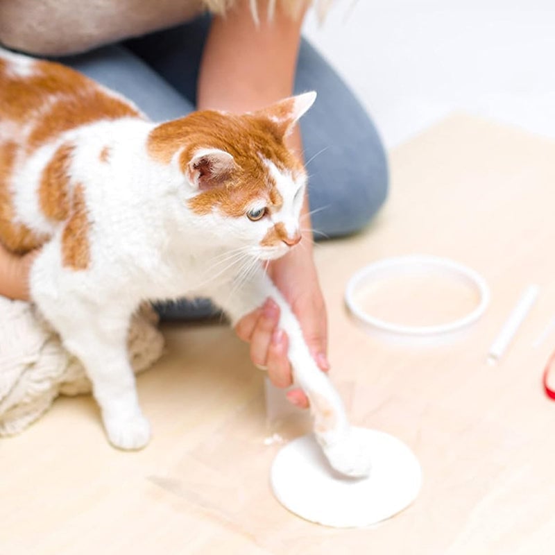 BowLift | Clay Pet Paw Impression Moulding Kit