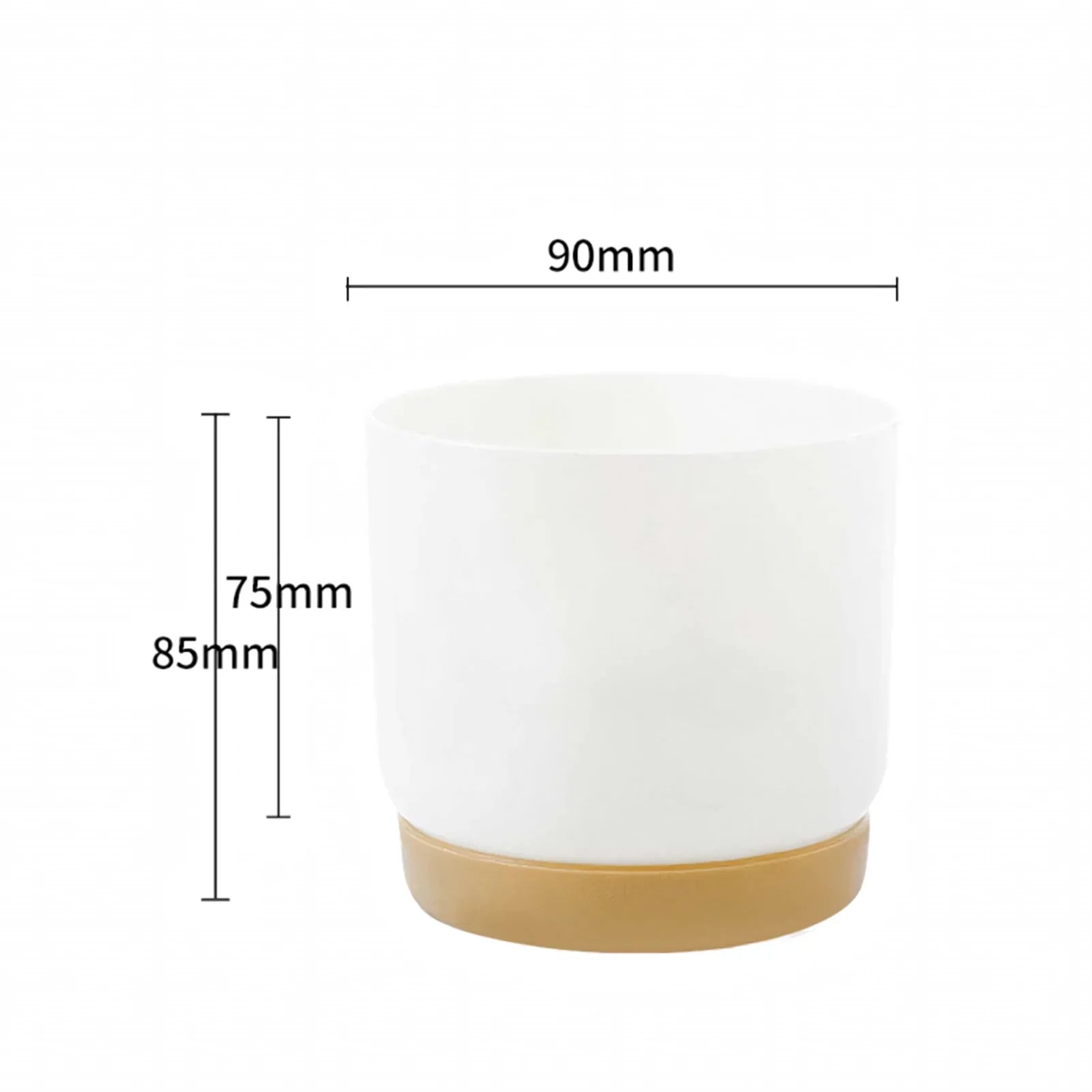 BowLift | Double-Layer Self-Watering Succulent Plant Pot for Home Decor