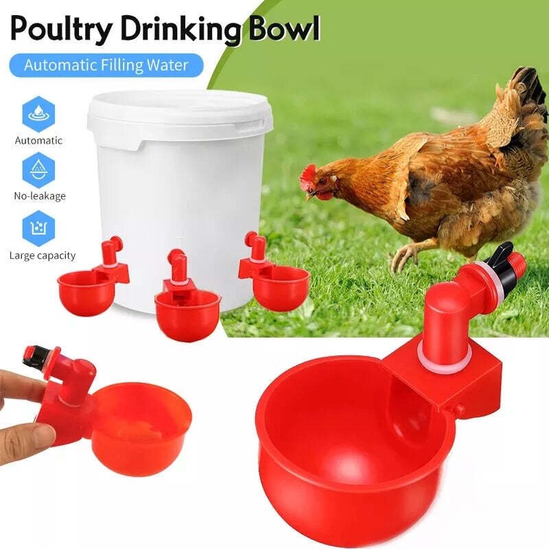 BowLift | Automatic Chicken Water Cup Bird Coop