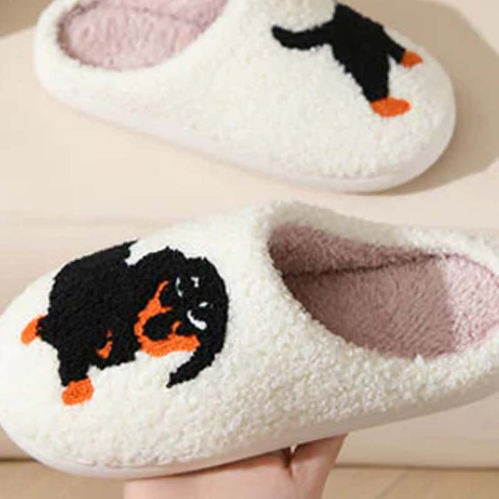 BowLift | PawSnooze – Cozy warmth and comfort that brings you joy