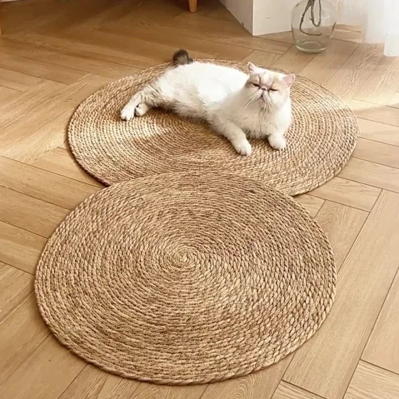 BowLift | KrazeLuxe Matte — Finally peace from scratching chaos and the favorite spot for your cat