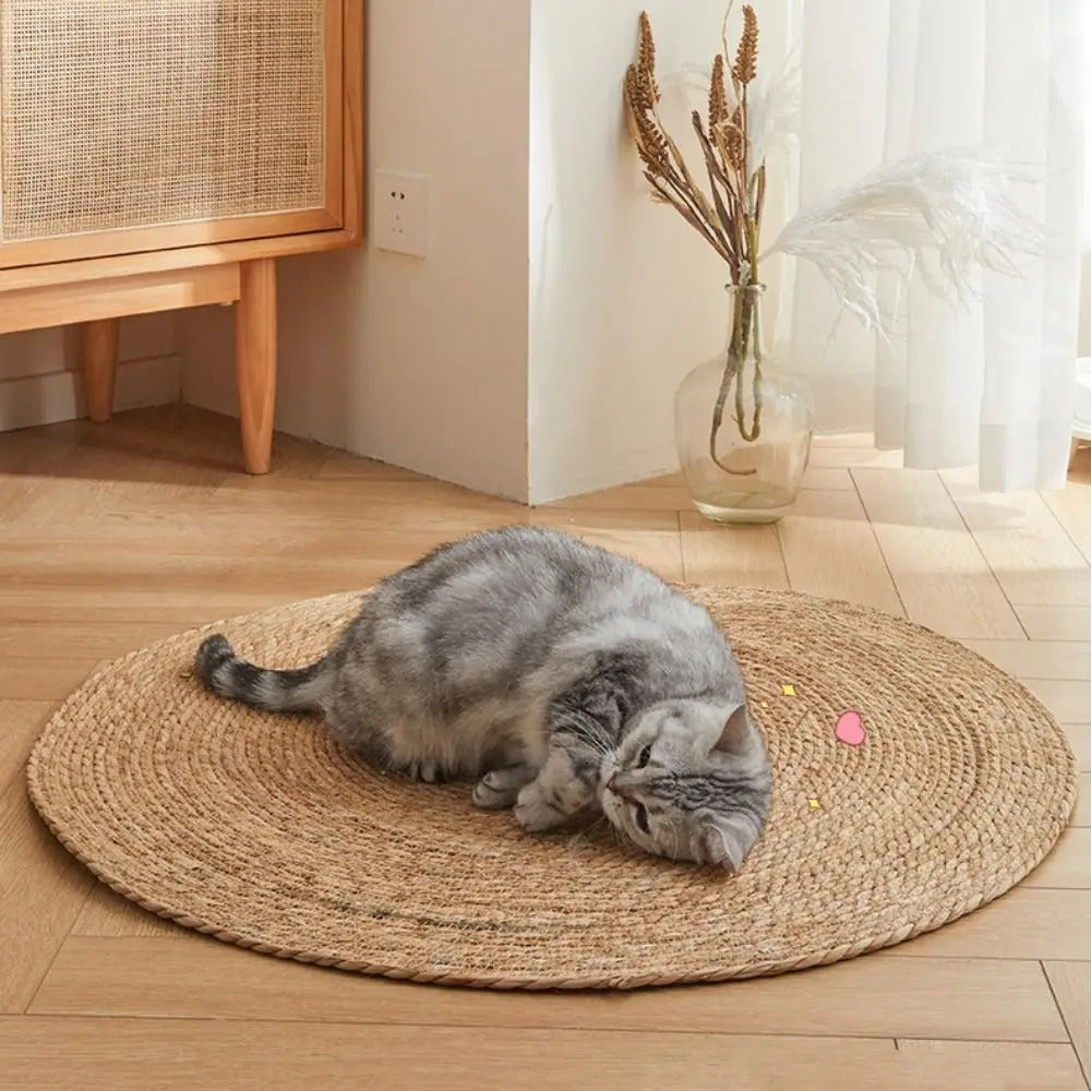 BowLift | KrazeLuxe Matte — Finally peace from scratching chaos and the favorite spot for your cat