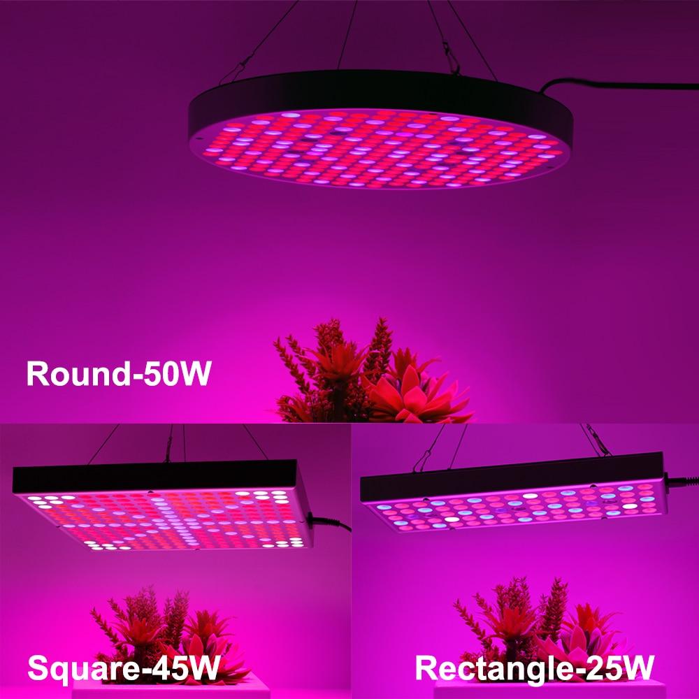 BowLift | Led Grow Lights - Plant Grow Light