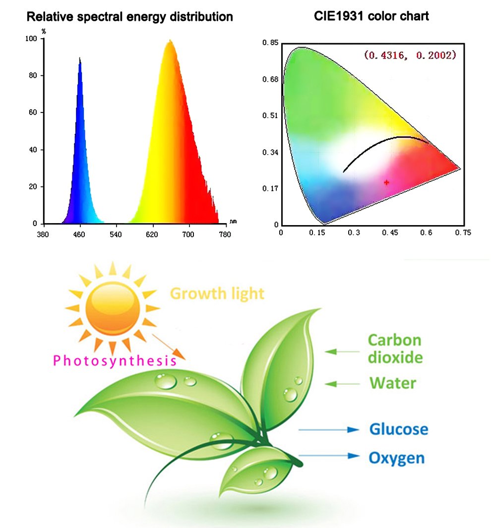 BowLift | Led Grow Lights - Plant Grow Light