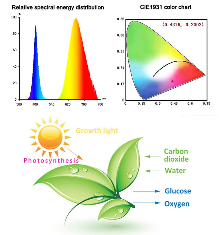 BowLift | Led Grow Lights - Plant Grow Light