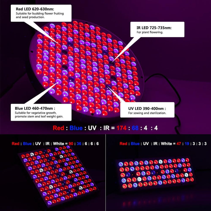 BowLift | Led Grow Lights - Plant Grow Light