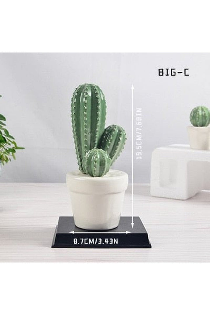 Cactus Decorative Vases | Bowlift