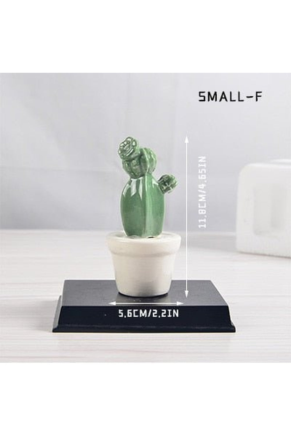 Cactus Decorative Vases | Bowlift