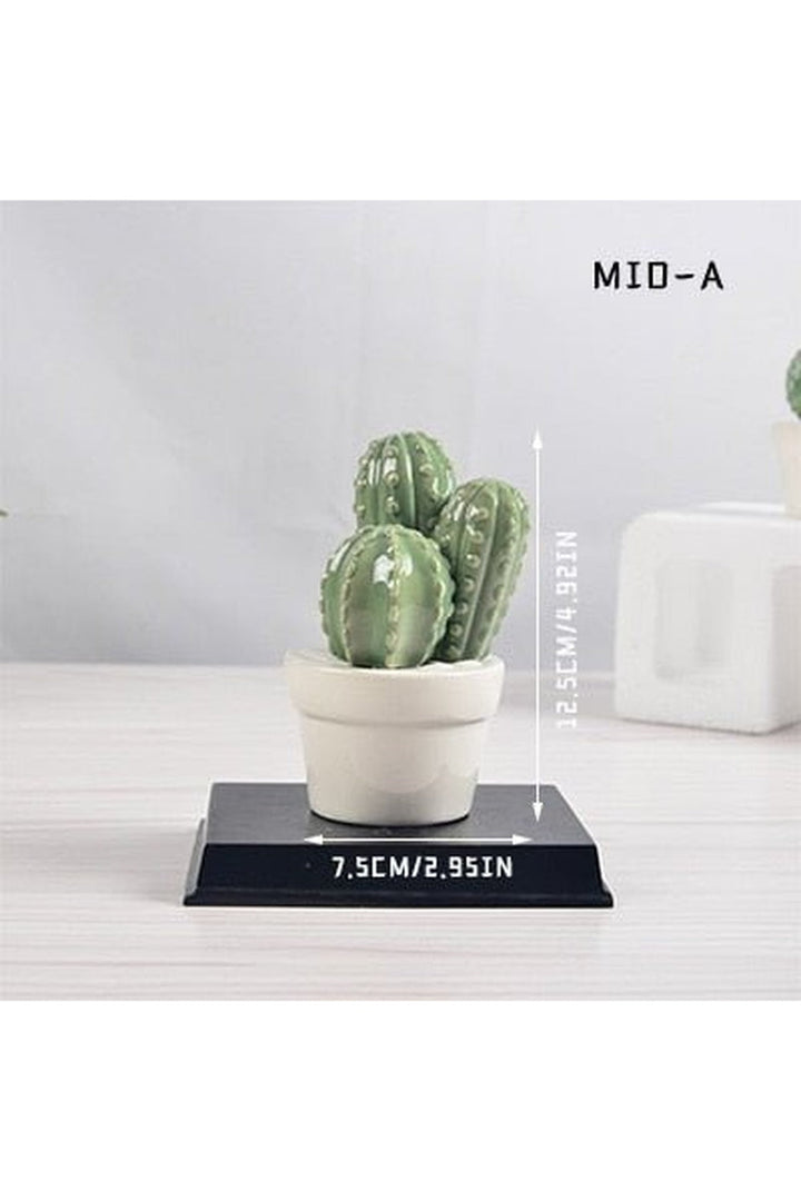 Cactus Decorative Vases | Bowlift