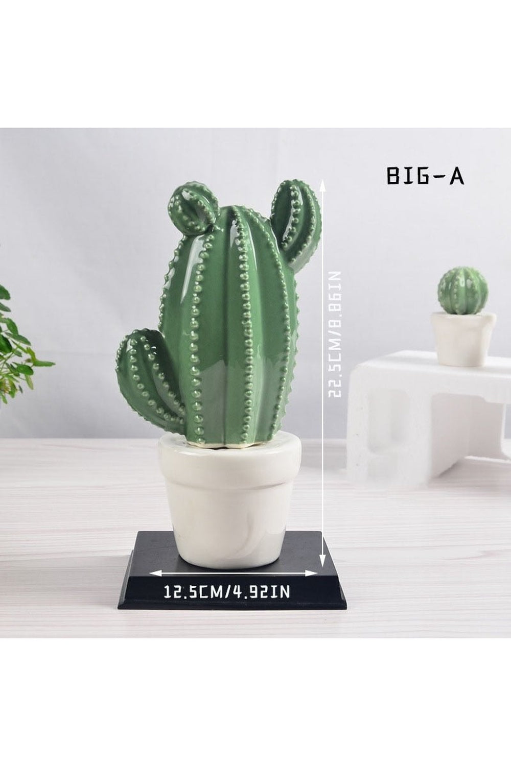 Cactus Decorative Vases | Bowlift