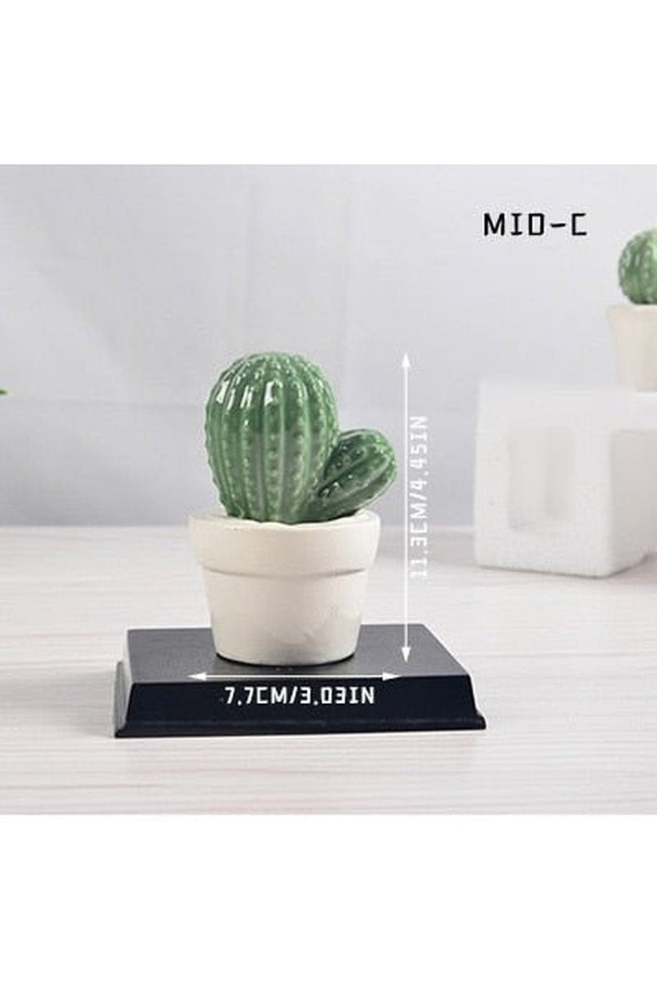 Cactus Decorative Vases | Bowlift