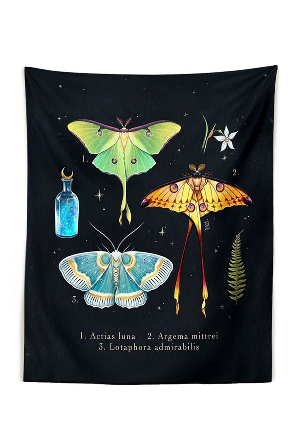Girl Art Wall Tapestry | Bowlift