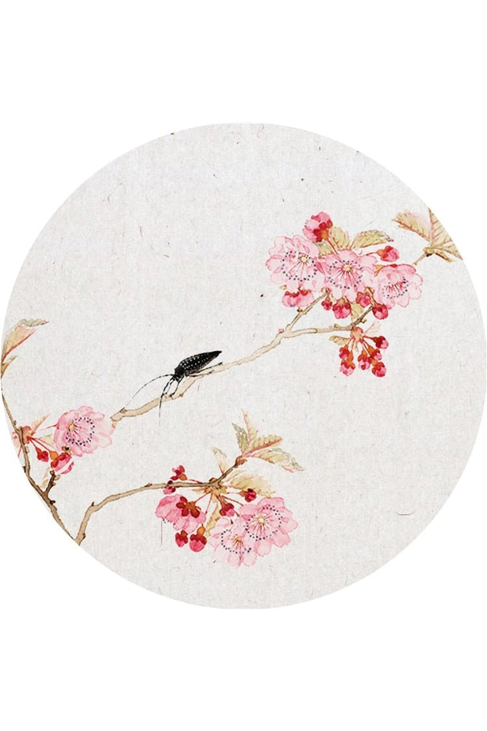 Look Elegant Plate | Bowlift