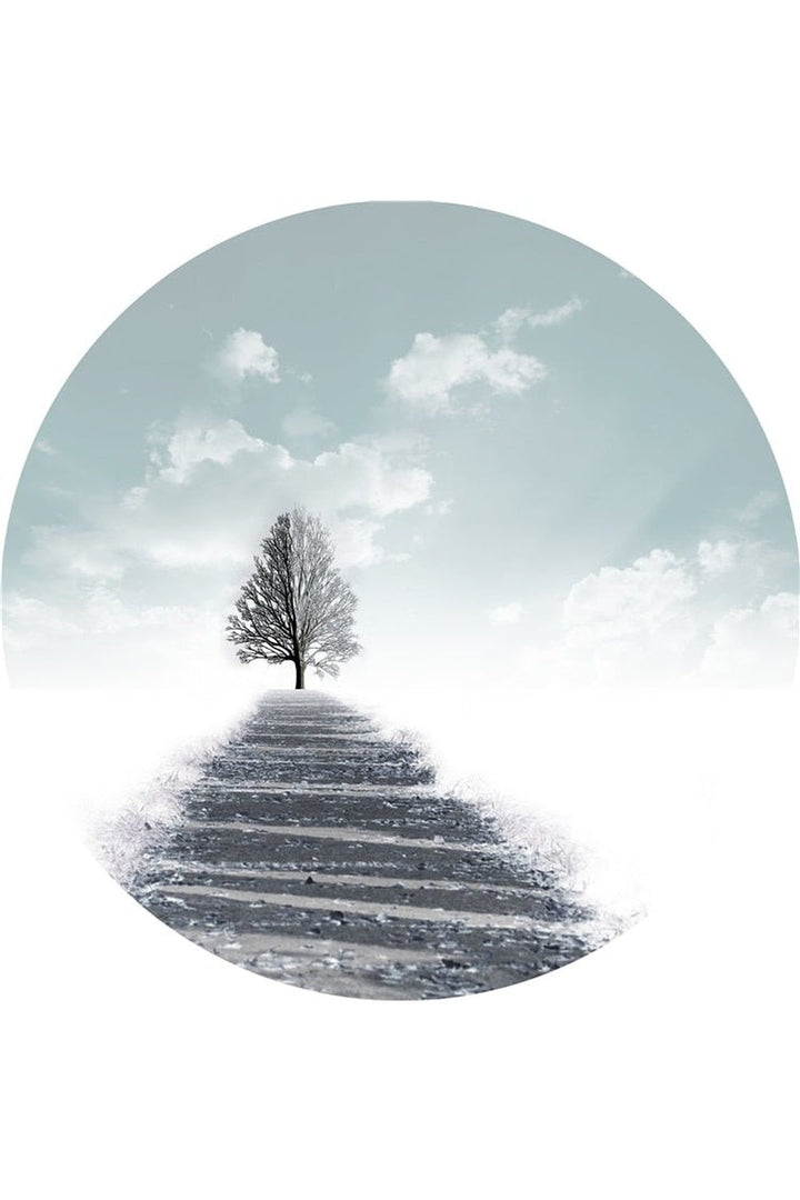 Look Elegant Plate | Bowlift