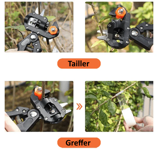 BowLift | SécateurPro | Bloom your garden with passion
