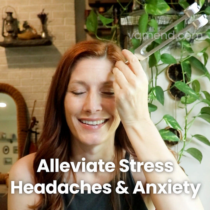 VibeTherapy - Geavanceerd Geluidstherapie Apparaat Bowlift