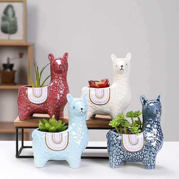 BowLift | Alpaca Ceramic Pots for Your Plants