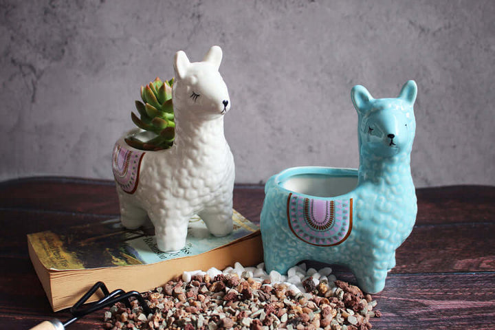 BowLift | Alpaca Ceramic Pots for Your Plants