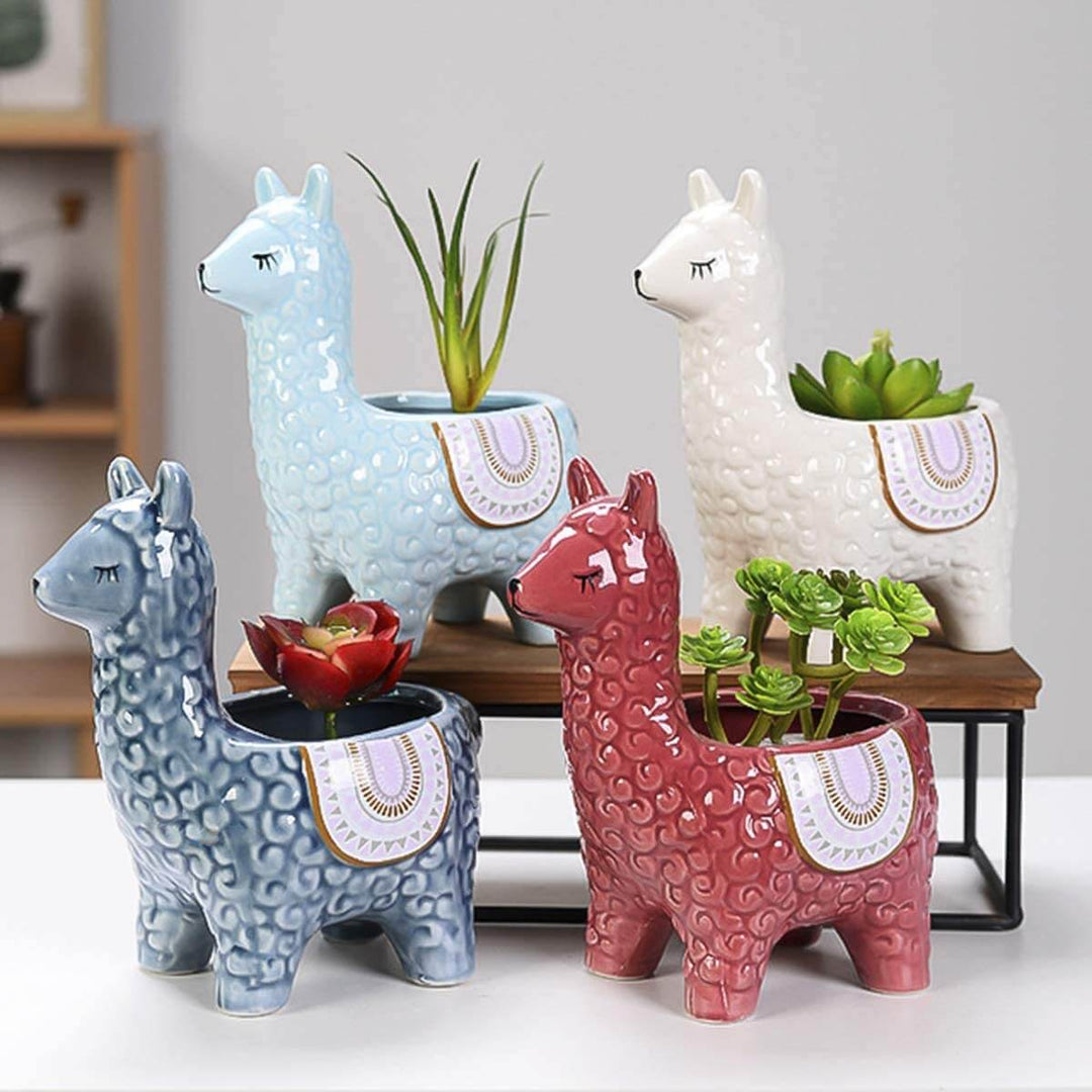 BowLift | Alpaca Ceramic Pots for Your Plants
