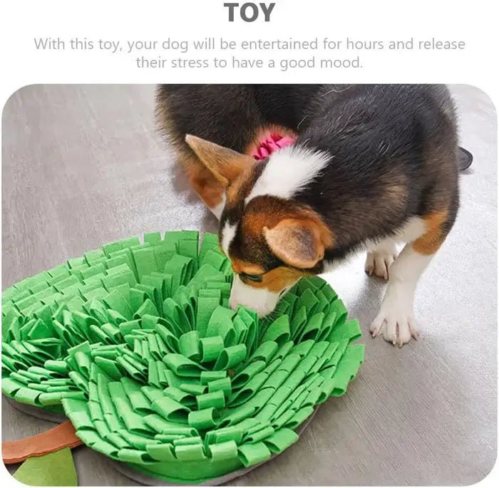 AppleForage • Dog Snuffle Mat - Dog Snuffle Mat - BowLift