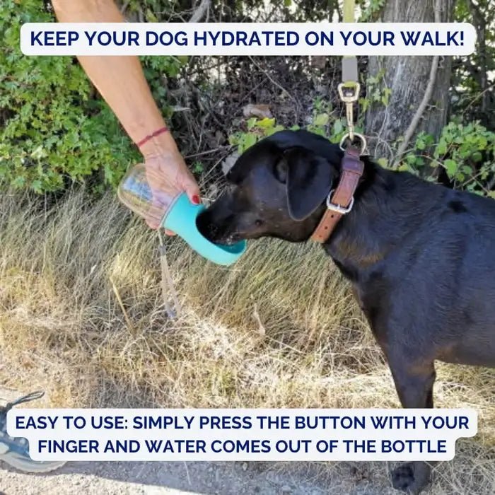 AquaPaws • Portable Dog Water Bottle - Portable Dog Water Bottle - BowLift