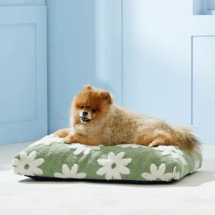 AquaRest • Waterproof Dog Bed for Indoor & Outdoor Comfort - Dog Bed - BowLift