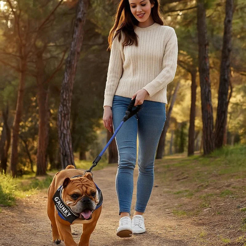 BowLift | Personalisable dog harness for comfort & safety