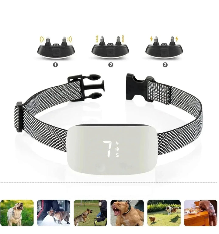 StilPoot Dog Training Collar Rechargeable and Waterproof | Bowlift