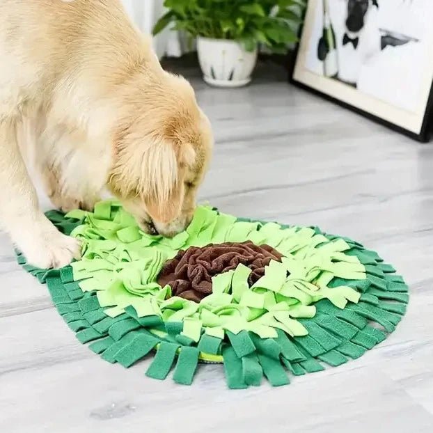 AvocadoForage• Snuffle Mat for Dogs - Snuffle Mat for Dogs - BowLift