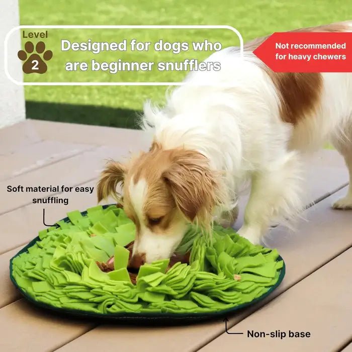 AvocadoForage• Snuffle Mat for Dogs - Snuffle Mat for Dogs - BowLift