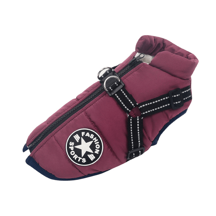 Winter Dog Jacket with Harness | Bowlift