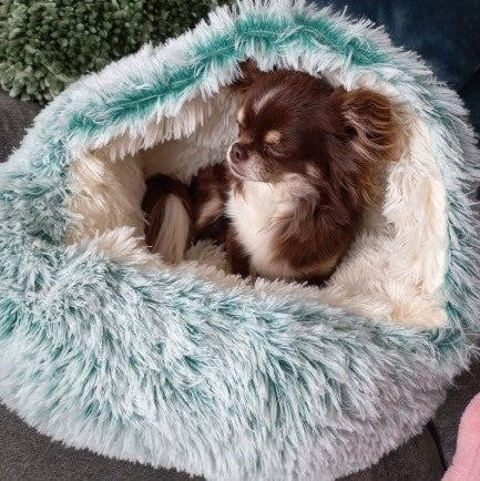 BowLift |  Premium Pet Bed