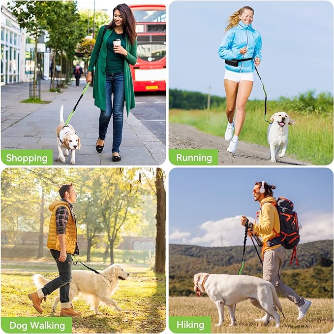 FlowLeash — Experience gentle control and relaxed walks without jerks! | Bowlift