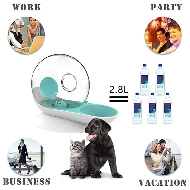 BowLift | AquaPoes Fountain – Automatic Drinking Fountain for Cats and Dogs with Stainless Steel Reservoir