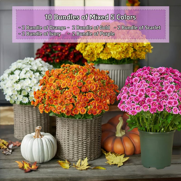 BowLift | AutumnBlaze — Your worry-free garden hit with colors that enchant every autumn!