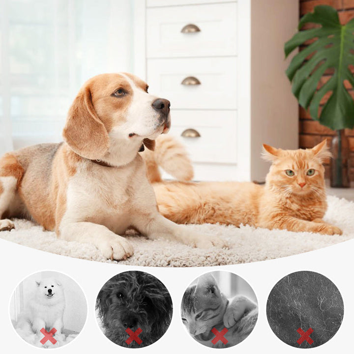 BowLift | FurComb – Easy, pain-free grooming for your pet's shiny coat