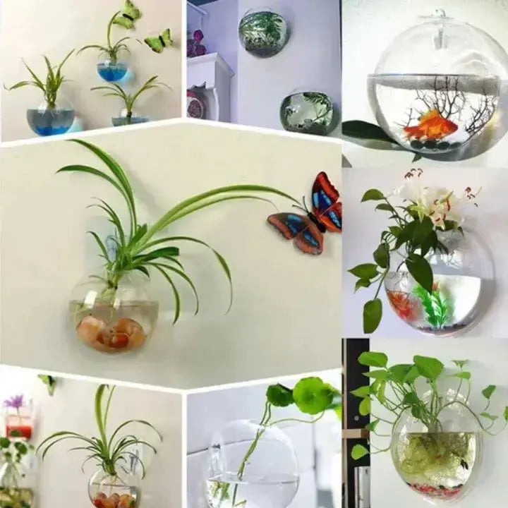 BowLift | WonderGlass — Give your walls a fresh kick for a vibrant home without effort