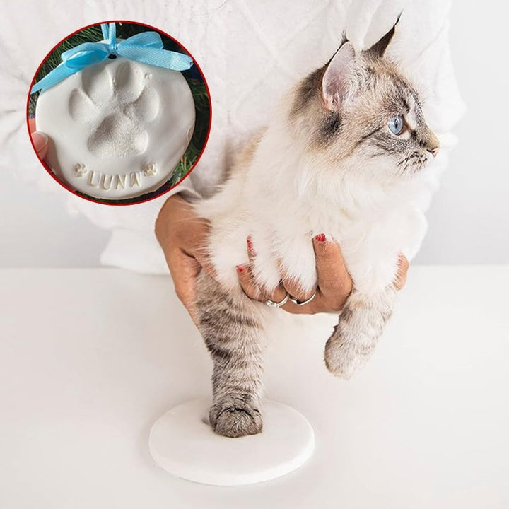 BowLift | Clay Pet Paw Impression Moulding Kit