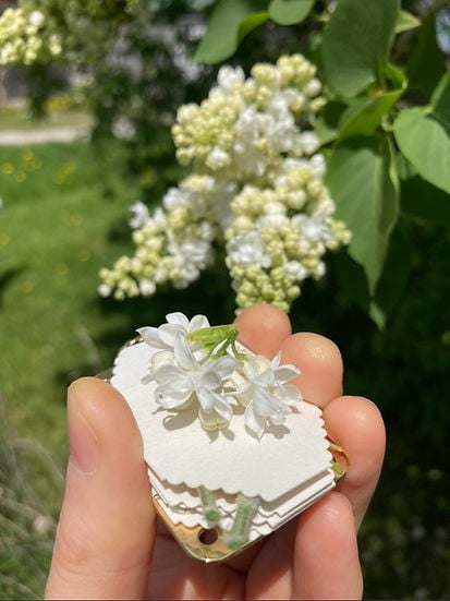 BowLift | FloraKeep – Keep your beloved flowers fresh forever!