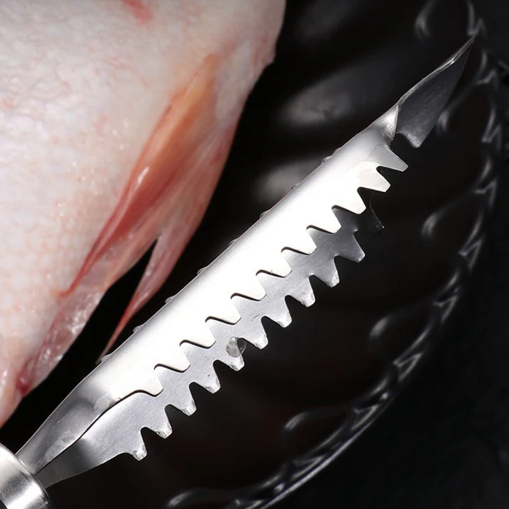 BowLift | Stainless Steel Fish Scales Remover