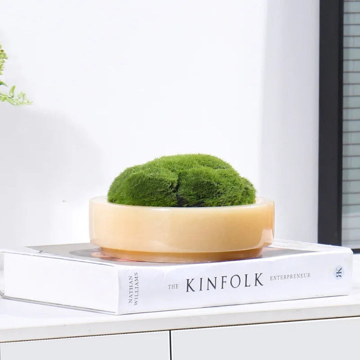 BowLift | Natural Marble Stone Moss Flower Pot - Luxury Round Desktop Planter