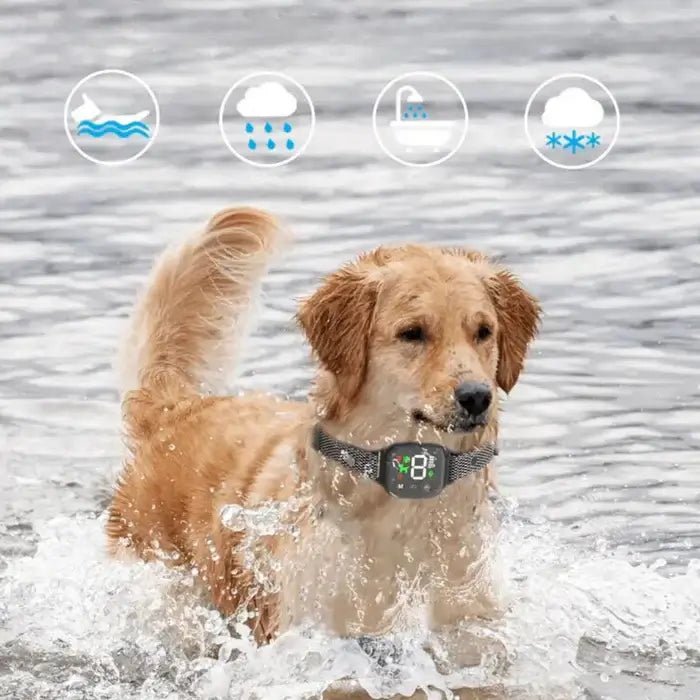 BarkPro • Touch Screen Dog Bark Collar - Touch Screen Dog Bark Collar - BowLift