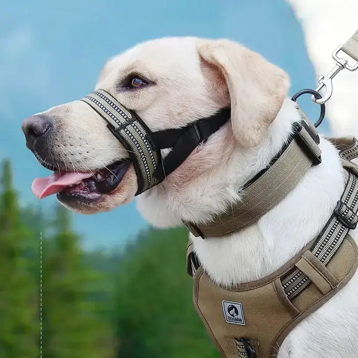 BarkShield • Adjustable Dog Muzzle - Adjustable Dog Muzzle - BowLift